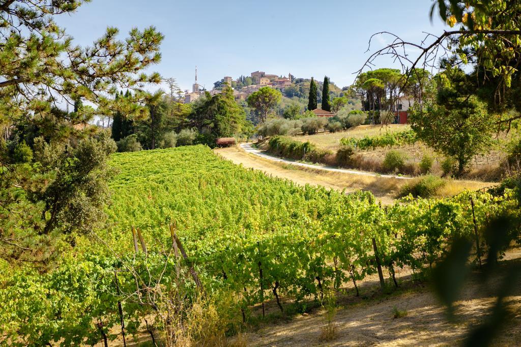 Il Vigneto Cottage Bertinoro Exterior photo
