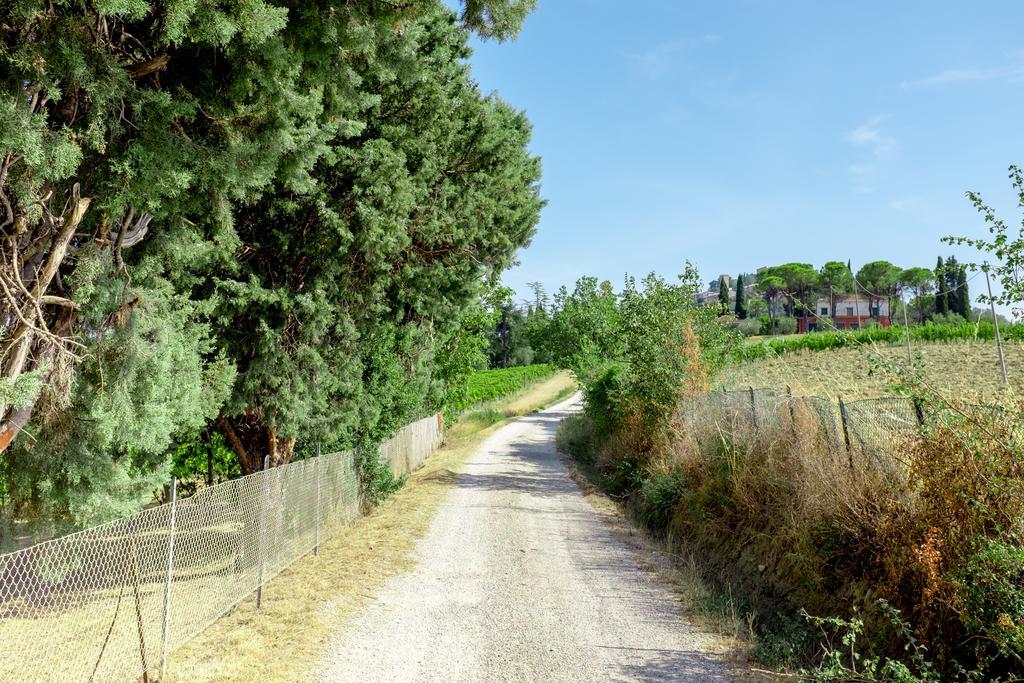 Il Vigneto Cottage Bertinoro Exterior photo